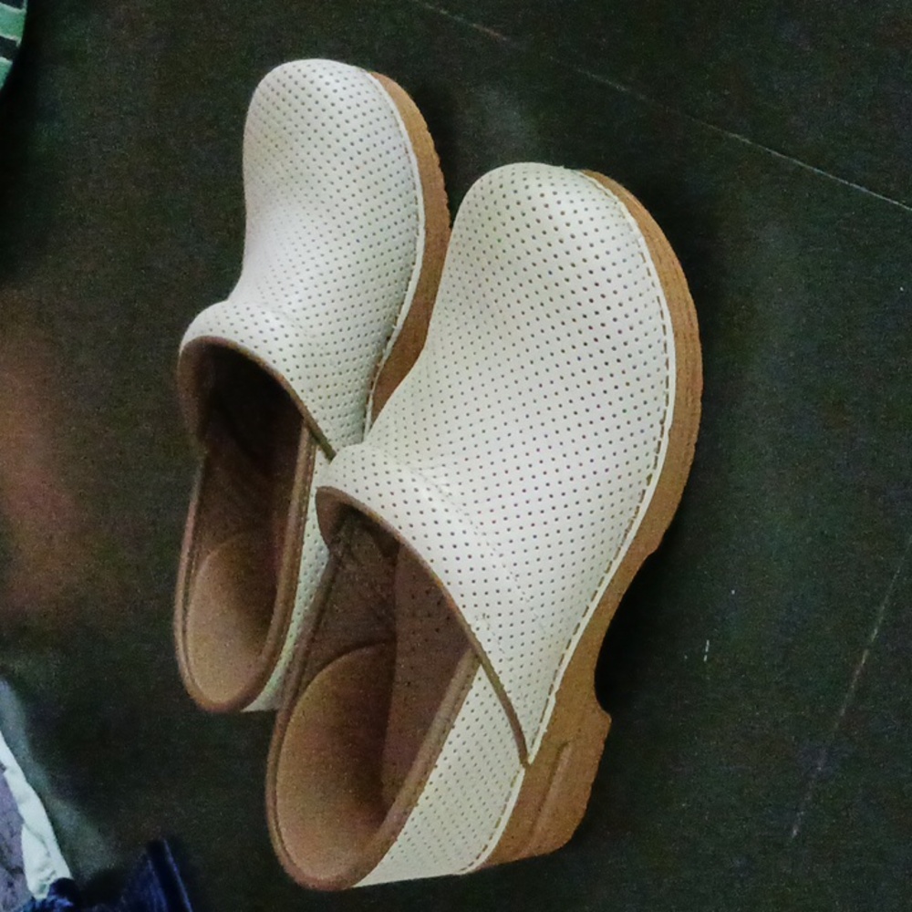 Dansko Professional Clogs